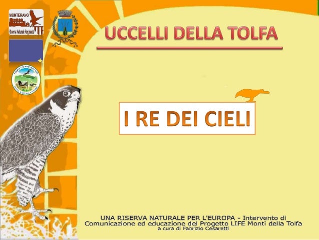 Uccelli Monti Della Tolfa
