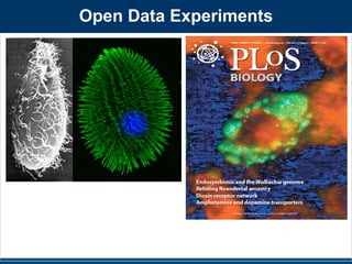 Open Data Experiments 
 