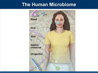 The Human Microbiome 
 