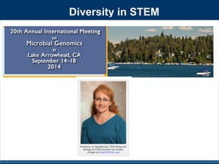 Diversity in STEM 
 