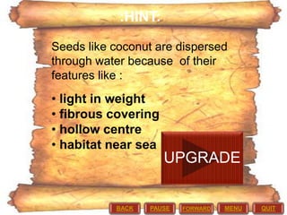 :HINT:
Seeds like coconut are dispersed
through water because of their
features like :

• light in weight
• fibrous covering
• hollow centre
• habitat near sea

UPGRADE

BACK

PAUSE

FORWARD

MENU

QUIT

 