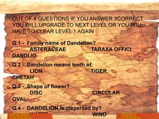 OUT OF 4 QUESTIONS IF YOU ANSWER 3CORRECT
YOU WILL UPGRADE TO NEXT LEVEL OR YOU WILL
HAVE TO CLEAR LEVEL 1 AGAIN :
Q.1 - Family name of Dandelion?
ASTERACEAE
TARAXA OFFICI
DANDLIO

Q.2 - Dandelion means teeth of.
LION
TIGER
CHETAH
Q.3 - Shape of flower?
DISC
OVAL

CIRCULAR

Q.4 - DANDELION is dispersed by?
WATER
WIND

 