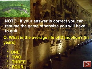 NOTE: If your answer is correct you can
resume the game otherwise you will have
to quit
Q. What is the average life of Dandelion? (in
years)
*
*
*
*

ONE
TWO
THREE
FOUR

 