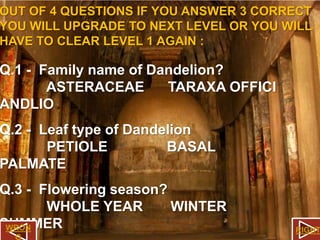 OUT OF 4 QUESTIONS IF YOU ANSWER 3 CORRECT
YOU WILL UPGRADE TO NEXT LEVEL OR YOU WILL
HAVE TO CLEAR LEVEL 1 AGAIN :

Q.1 - Family name of Dandelion?
ASTERACEAE
TARAXA OFFICI
ANDLIO

Q.2 - Leaf type of Dandelion
PETIOLE
BASAL
PALMATE

Q.3 - Flowering season?
WHOLE YEAR
WINTER
SUMMER
WRON
G

RIGHT

 