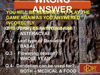 WRONG
ANSWER
YOU WILL BE REQUIRED TO PLAY THE
GAME AGAIN AS YOU ANSWERED
INCORECTLY.
Q.1 - CORRECT ANSWERS ARE.
THE Family name of Dandelion?
ASTERACEAE
Q.2 - Leaf type of Dandelion
BASAL

Q.3 - Flowering season?
WHOLE YEAR
Q.4- Dandelion can be used for?
BOTH – MEDICAL & FOOD

QUIT

 