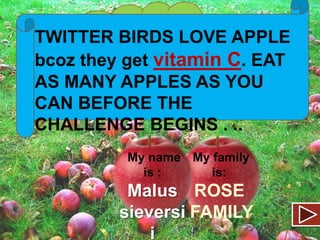 Oopsss! I ate a
TWITTER BIRDS LOVE APPLE
lot. Now its
bcoz they get vitamin C. EAT
time for nature
AS MANY Bye…
APPLES AS YOU
call.
CAN BEFORE THE
CHALLENGE BEGINS . ..
My name My family
is :
is:

Malus ROSE
sieversi FAMILY
i

 