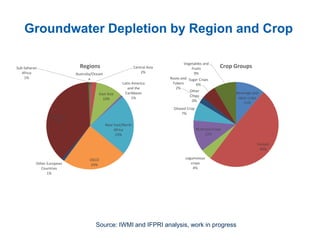 Groundwater Depletion by Region and Crop
Australia/Oceani
a
0%
Central Asia
2%
East Asia
10%
Latin America
and the
Caribbean
1%
Near East/North
Africa
23%
OECD
24%Other European
Countries
1%
South Asia
38%
Sub-Saharan
Africa
1%
Regions
Beverage and
spice crops
11%
Cereals
49%
Leguminous
crops
4%
NonFood Crops
12%
Oilseed Crop
7%
Other
Crops
0%
Roots and
Tubers
2%
Sugar Crops
6%
Vegetables and
Fruits
9%
Crop Groups
Source: IWMI and IFPRI analysis, work in progress
 