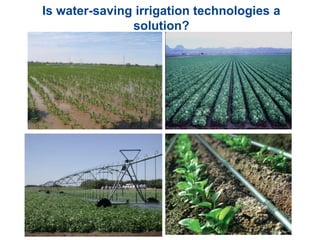 Is water-saving irrigation technologies a
solution?
 