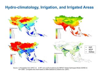 Hydro-climatology, Irrigation, and Irrigated Areas
Source: 1) Precipitation from GPCC v5. 2) PET and runoff simulated by the IMPACT Global Hydrological Model (IGHM) for
1971-2000. 3) Irrigated area share based on GMIA database by Siebert et al. (2007).
• IGP
• NCP
• Deltas
 