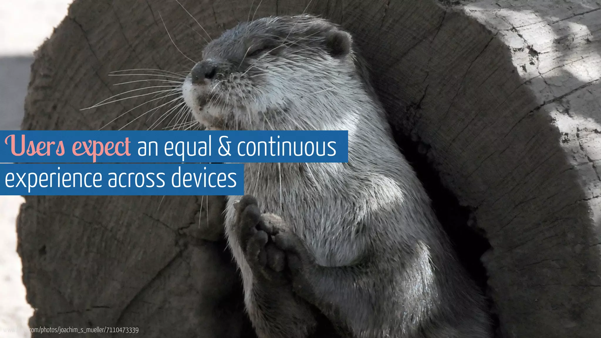 Users expect an equal  continuous 
experience across devices 
www.flickr.com/photos/joachim_s_mueller/7110473339 
 