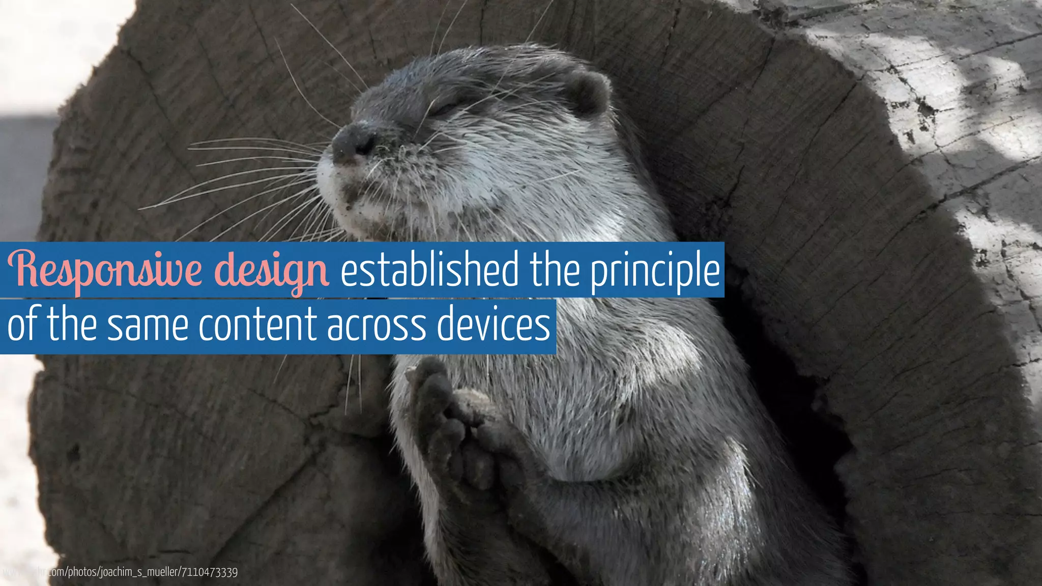 Responsive design established the principle 
of the same content across devices 
www.flickr.com/photos/joachim_s_mueller/7110473339 
 