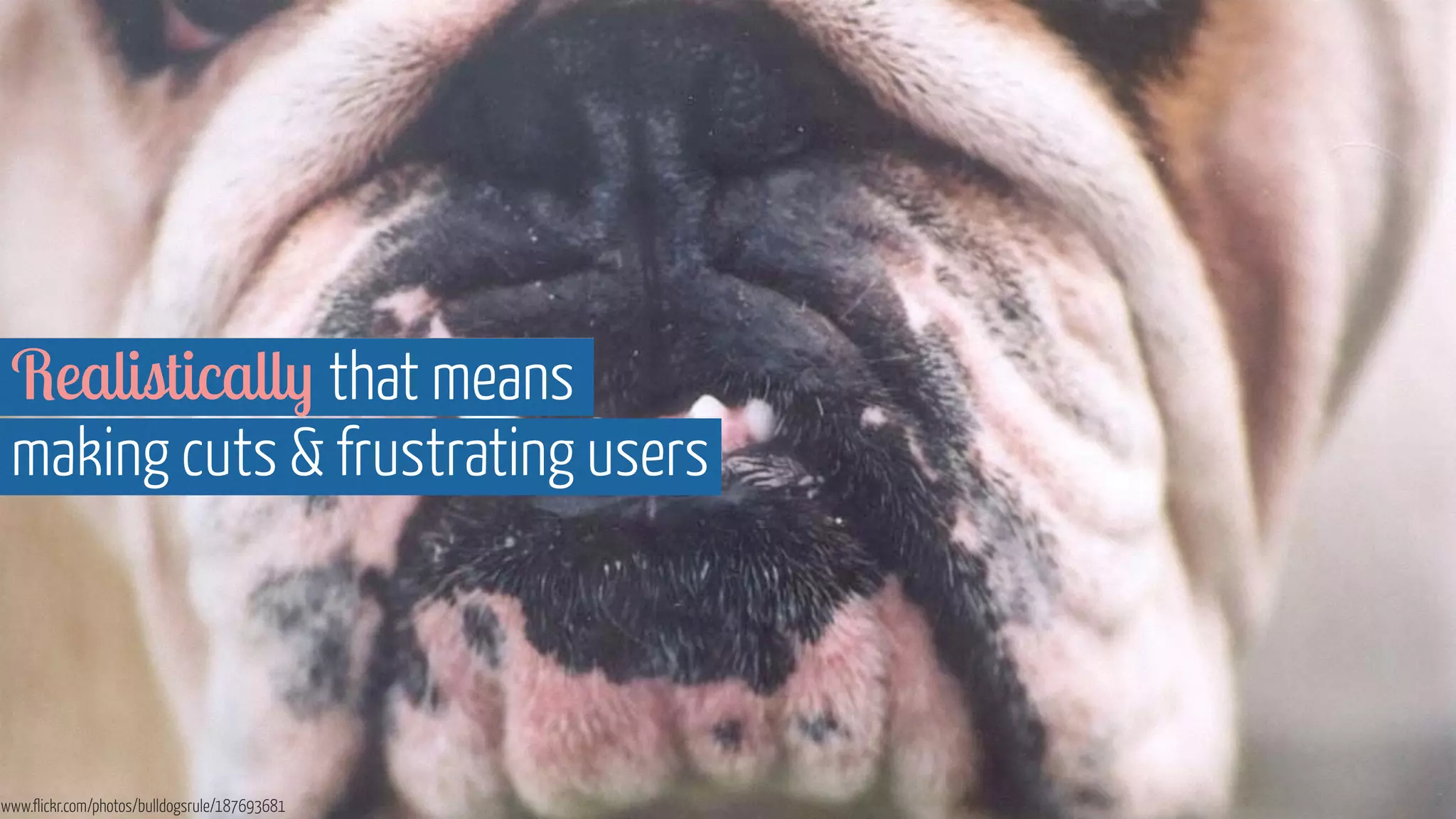 Realistically that means 
making cuts & frustrating users 
www.flickr.com/photos/bulldogsrule/187693681 
 