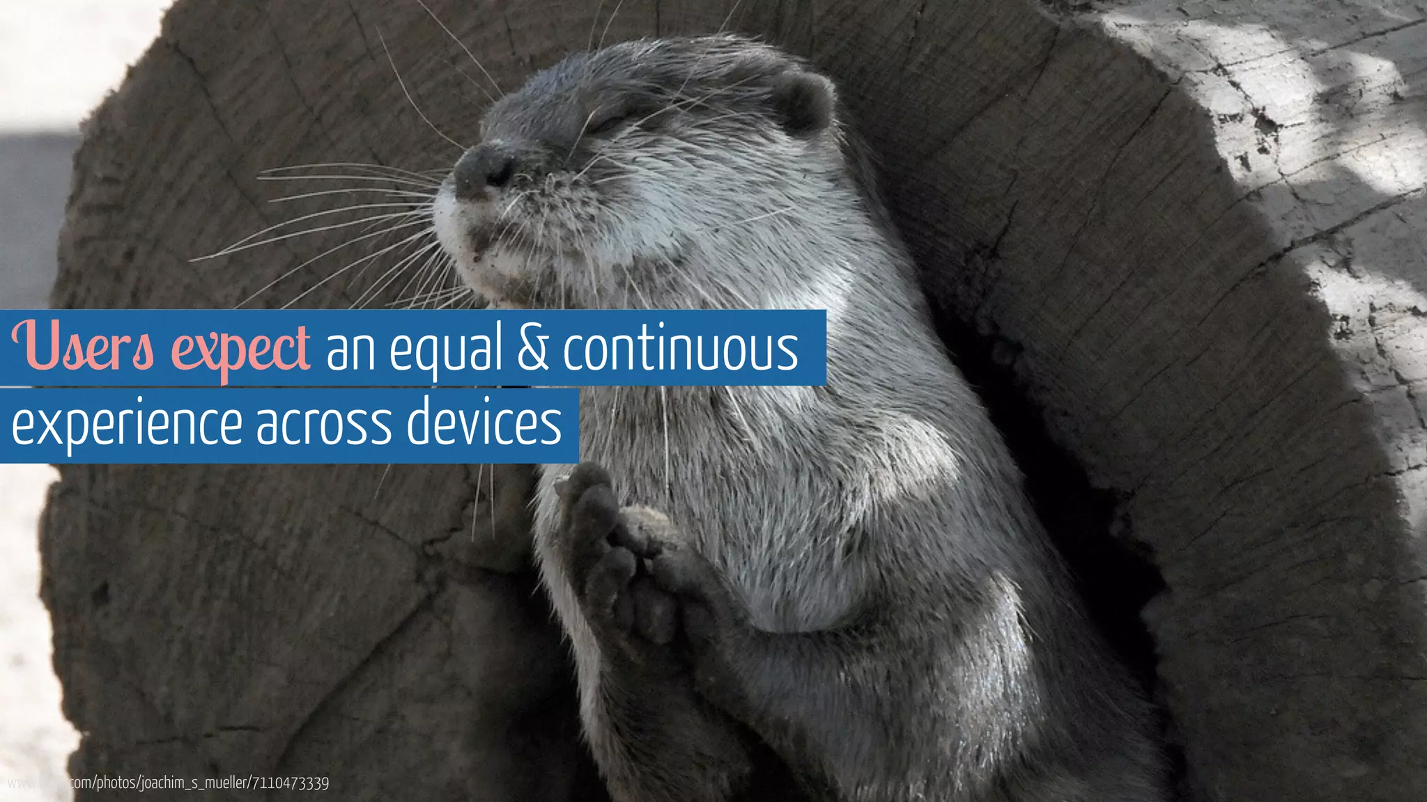 Users expect an equal  continuous 
experience across devices 
www.flickr.com/photos/joachim_s_mueller/7110473339 
 