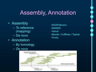 Assembly, Annotation 
• Assembly 
– To reference 
(mapping) 
– De novo 
• Annotation 
– By homology 
– De novo 
•SOAPdenovo 
•MAKER 
•Velvet 
•Bowtie / Cufflinks / Tophat 
•Trinity 
 