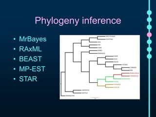 Phylogeny inference 
• MrBayes 
• RAxML 
• BEAST 
• MP-EST 
• STAR 
 