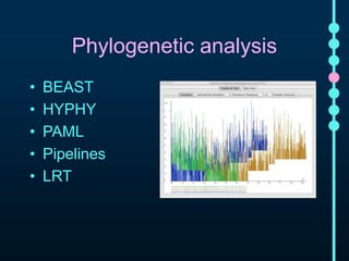 Phylogenetic analysis 
• BEAST 
• HYPHY 
• PAML 
• Pipelines 
• LRT 
 