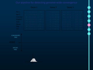 Our pipeline for detecting genome-wide convergence 
 