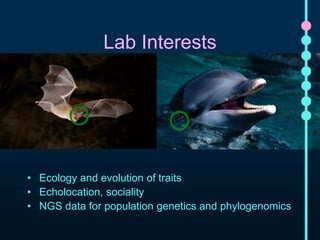 Lab Interests 
• Ecology and evolution of traits 
• Echolocation, sociality 
• NGS data for population genetics and phylogenomics 
 