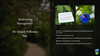 Biodiversity
Management
–
All -Ireland Pollinator
Plan
Reduce the frequency of mowing of selected grassed areas
on campus
Pollinator Friendly planting
Provide opportunities for wild pollinator nesting habitats
Manage and control use of pesticides
Raise awareness of pollinators amongst our community.
 
