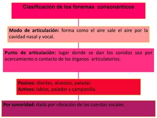 Clasificación de los fonemas consonánticos



  Modo de articulación: forma como el aire sale el aire por la
  cavidad nasal y vocal.


Punto de articulación: lugar donde se dan los sonidos sea por
acercamiento o contacto de los órganos articulatorios.



      Pasivos: dientes, alveolos, paladar.
      Activos: labios, paladar y campanilla.

Por sonoridad: dada por vibración de las cuerdas vocales.
 