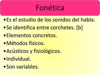 Fonética
•Es el estudio de los sonidos del habla.
•Se identifica entre corchetes. [b]
•Elementos concretos.
•Métodos físicos.
•Acústicos y fisiológicos.
•Individual.
•Son variables.
 
