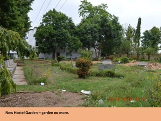 New Hostel Garden – garden no more.
 