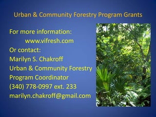 Urban & Community Forestry Program Grants

For more information:
      www.vifresh.com
Or contact:
Marilyn S. Chakroff
Urban & Community Forestry
Program Coordinator
(340) 778-0997 ext. 233
marilyn.chakroff@gmail.com
 