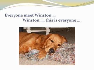 What is Linkedin?Linkedin is the world’s largest professional network with over100 millionmembers and growing rapidly.