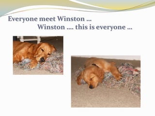 Linkedin connects you to your business contacts and helps you exchange knowledge, ideas, and opportunities with a broader network of professionals.