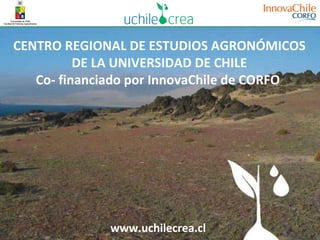 CENTRO REGIONAL DE ESTUDIOS AGRONÓMICOS DE LA UNIVERSIDAD DE CHILE Co- financiado por InnovaChile de CORFO   www.uchilecrea.cl 