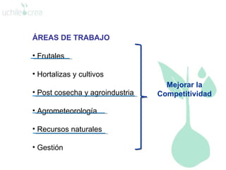 ÁREAS DE TRABAJO Frutales  Hortalizas y cultivos Post cosecha y agroindustria Agrometeorología Recursos naturales  Gestión  Mejorar la Competitividad 