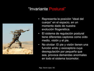“Invariante Postural”
• Representa la posición “ideal del
cuerpo” en el espacio, en un
momento dado de nuestra
evolución filogenética.
• El sistema de regulación postural
tiene diferentes captores como oído
medio, visión y el pie.
• No olvidar: El pie y visión tienen una
función endo y exocaptora cuya
desregulación por pequeña que
sea, provoca demandas anormales
en todo el sistema locomotor.
Klgo. David López DC
 