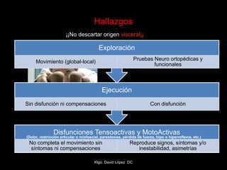 Disfunciones Tensoactivas y MotoActivas
No completa el movimiento sin
síntomas ni compensaciones
Reproduce signos, síntomas y/o
inestabilidad, asimetrías
Ejecución
Sin disfunción ni compensaciones Con disfunción
Exploración
Movimiento (global-local)
Pruebas Neuro ortopédicas y
funcionales
Hallazgos
(Dolor, restricción articular o miofascial, parestesias, pérdida de fuerza, hipo o hiperreflexia, etc.)
Klgo. David López DC
¡¡No descartar origen visceral¡¡
 