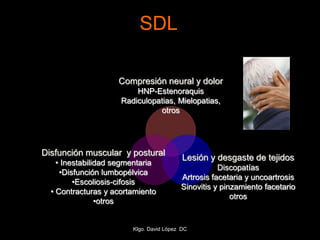 SDL
Compresión neural y dolor
HNP-Estenoraquis
Radiculopatias, Mielopatias,
otros
Lesión y desgaste de tejidos
Discopatías
Artrosis facetaria y uncoartrosis
Sinovitis y pinzamiento facetario
otros
Disfunción muscular y postural
• Inestabilidad segmentaria
•Disfunción lumbopélvica
•Escoliosis-cifosis
• Contracturas y acortamiento
•otros
Klgo. David López DC
 