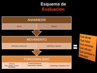 Esquema de
Evaluación
FUNCIONALIDAD
Síntomas
Dolor, Reflejos, Fuerza,
Sensibilidad
Pruebas Exploratorias
Segmentarias, Globales Imagenología, Laboratorio, otros
MOVIMIENTO
ROM Activo, Observación ROM Pasivo, Palpación
ANAMNESIS
Remota Reciente
 