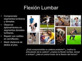 Flexión Lumbar
• Compromete
segmentos lumbares
y dorsales.
• Observar
aplanamientos en
segmentos dorsales-
lumbares.
• Repetir con rodillas
en semiflexión.
• Medir distancia de
dedos al piso.
¿Está comprometida su cadena posterior? ¿ implica la
articulación de la cadera? ¿implica la flexión lumbar, dorsal
o ambas? ¿falla el control motor de la flexión del tronco?
 