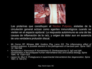 Las proteínas que constituyen el Núcleo Pulposo, aisladas de la
circulación general actúan como agentes inmunológicos cuando se
vierten en el espacio epidural. La respuesta autoinmune es una de las
causas de inflamación de la raíz, y origen de dolor aun en ausencia
de una verdadera protusión discal.
• Mc Carron RF, Wimpee MW, Hudkins Phg, Laros GS. The inflammatory effect of
nucleus pulposus. A possible element in the pathogenesis of low-back pain. Spine 1987;
12: 760-764.
• Spiliopoulou I, Korovessis P, Konstantinou D, Dimitracopoulos G. IgG and IgM
concentration in the prolapsed human intervertebral disc and sciatica etiology. Spine
1994; 19: 1320-1323.
• Lipson SJ, Muir H. Proteglycans in experimental intervertebral disc degeneration. Spine
1981; 6: 194-210.
Klgo. David López DC
 