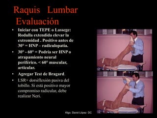 Raquis Lumbar
Evaluación
• Iniciar con TEPE o Lassege:
Rodulla extendida elevar la
extremidad . Positivo antes de
30° = HNP – radiculopatía.
• 30° - 60° = Podría ser HNP o
atrapamiento neural
periférico. < 60° muscular,
articular.
• Agregar Test de Bragard.
• LSR+ dorsiflexión pasiva del
tobillo. Si está positivo mayor
compromiso radicular, debe
realizar Neri.
Klgo. David López DC
 