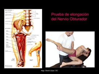 Prueba de elongación
del Nervio Obturador
Klgo. David López DC
 