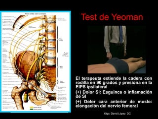 Test de Yeoman
El terapeuta extiende la cadera con
rodilla en 90 grados y presiona en la
EIPS ipsilateral
(+) Dolor SI: Esguince o inflamación
de SI
(+) Dolor cara anterior de muslo:
elongación del nervio femoral
Klgo. David López DC
 