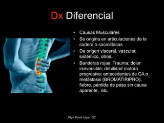 Dx Diferencial
• Causas Musculares
• Se origina en articulaciones de la
cadera o sacroilíacas
• De origen visceral, vascular,
sistémico, otros.
• Banderas rojas: Trauma; dolor
irreversible; debilidad motora
progresiva; antecedentes de CA o
metástasis (BROMATIRIPRO),
fiebre, pérdida de peso sin causa
aparente, etc.
Klgo. David López DC
 