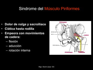 Sindrome del Músculo Piriformes
• Dolor de nalga y sacroiliaco
• Ciática hasta rodilla
• Empeora con movimientos
de cadera:
– flexión
– aducción
– rotación interna
Klgo. David López DC
 