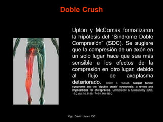 Upton y McComas formalizaron
la hipótesis del "Síndrome Doble
Compresión” (SDC). Se sugiere
que la compresión de un axón en
un solo lugar hace que sea más
sensible a los efectos de la
compresión en otro lugar, debido
al flujo de axoplasma
deteriorado. Brent S Russell, Carpal tunnel
syndrome and the "double crush" hypothesis: a review and
implications for chiropractic. Chiropractic & Osteopathy 2008,
16:2 doi:10.1186/1746-1340-16-2
Doble Crush
Klgo. David López DC
 