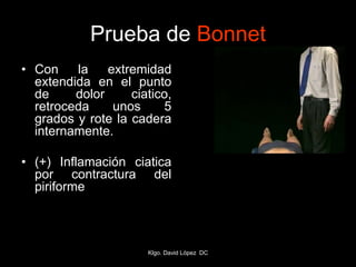 Prueba de Bonnet
• Con la extremidad
extendida en el punto
de dolor ciatico,
retroceda unos 5
grados y rote la cadera
internamente.
• (+) Inflamación ciatica
por contractura del
piriforme
Klgo. David López DC
 