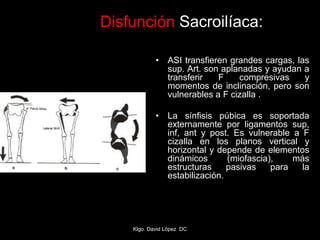 • ASI transfieren grandes cargas, las
sup. Art. son aplanadas y ayudan a
transferir F compresivas y
momentos de inclinación, pero son
vulnerables a F cizalla .
• La sínfisis púbica es soportada
externamente por ligamentos sup,
inf, ant y post. Es vulnerable a F
cizalla en los planos vertical y
horizontal y depende de elementos
dinámicos (miofascia), más
estructuras pasivas para la
estabilización.
Disfunción Sacroilíaca:
Klgo. David López DC
 