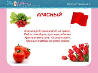 КРАСНЫЙ
Красная редиска выросла на грядке,
Рядом помидоры - красные ребятки.
Красные тюльпаны на окне стоят,
Красные знамена за окном горят.
 