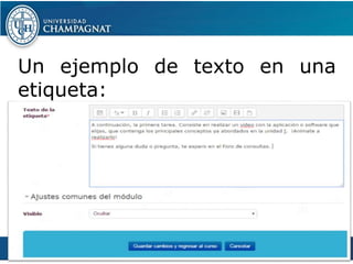 Un ejemplo de texto en una
etiqueta:
www.campusvirtual.uch.edu.ar
cdigital@uch.edu.ar
Teléfono: 261-4244843
 