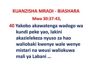 KUANZISHA MRADI ‐ BIASHARA
         Mwa 30:37‐43,
40 Yakobo akawatenga wadogo wa 
   kundi peke yao, lakini 
   k ndi peke ao lakini
   akazielekeza nyuso za hao 
                 y
   waliobaki kwenye wale wenye 
   mistari na weusi waliokuwa 
     it i          i li k
   mali ya Labani …
   mali ya Labani …
 