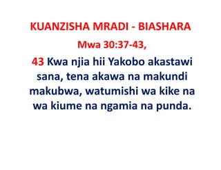 KUANZISHA MRADI ‐ BIASHARA
        Mwa 30:37‐43,
43 Kwa njia hii Yakobo akastawi
 sana, tena akawa makundi
 sana tena aka a na mak ndi
makubwa, watumishi wa kike na
         ,
wa kiume na ngamia na punda. 
 