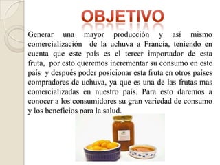 Generar una mayor producción y así mismo
comercialización de la uchuva a Francia, teniendo en
cuenta que este país es el tercer importador de esta
fruta, por esto queremos incrementar su consumo en este
país y después poder posicionar esta fruta en otros países
compradores de uchuva, ya que es una de las frutas mas
comercializadas en nuestro país. Para esto daremos a
conocer a los consumidores su gran variedad de consumo
y los beneficios para la salud.
 